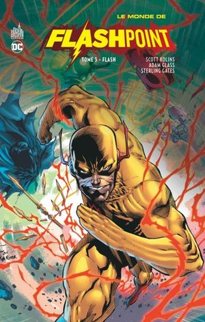 Flash - Le Monde de Flashpoint, tome 3