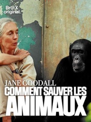 Jane Goodall : Comment sauver les animaux