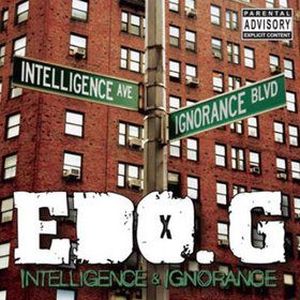 Intelligence & Ignorance