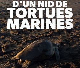 image-https://media.senscritique.com/media/000020273648/0/la_vie_secrete_d_un_nid_de_tortues_marines.jpg