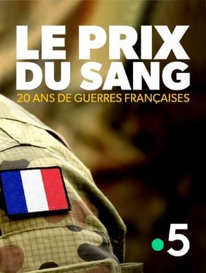 Le Prix du sang : 20 ans de guerres françaises