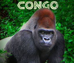 image-https://media.senscritique.com/media/000020275261/0/congo.jpg