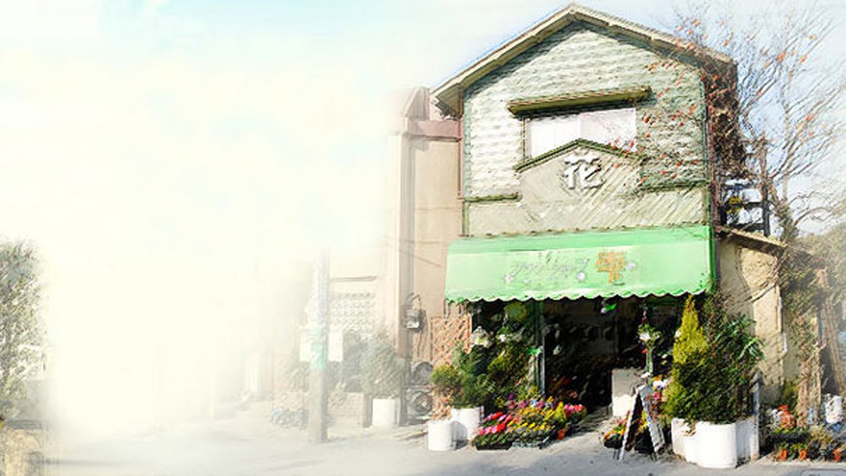 Flower Shop Without Rose Drama (2008) SensCritique