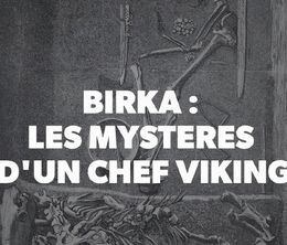 image-https://media.senscritique.com/media/000020277533/0/birka_les_mysteres_d_un_chef_viking.jpg