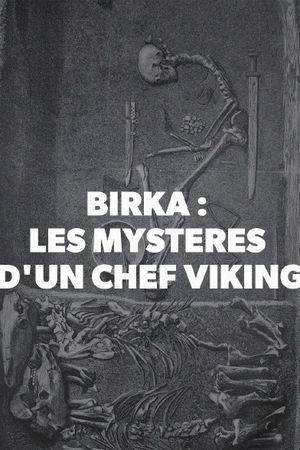 Birka - Les mystères d'un chef viking
