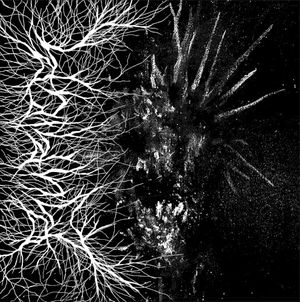 Disease & Deluge