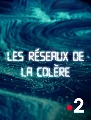 Les Réseaux de la colère