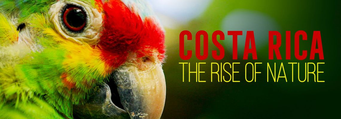 Cover Costa Rica : Le réveil de la nature