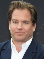 Michael Weatherly
