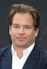 Michael Weatherly