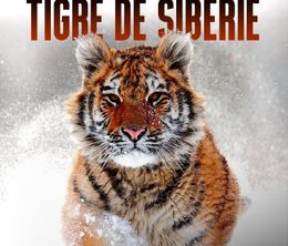 image-https://media.senscritique.com/media/000020285755/0/le_grand_retour_du_tigre_de_siberie.jpg