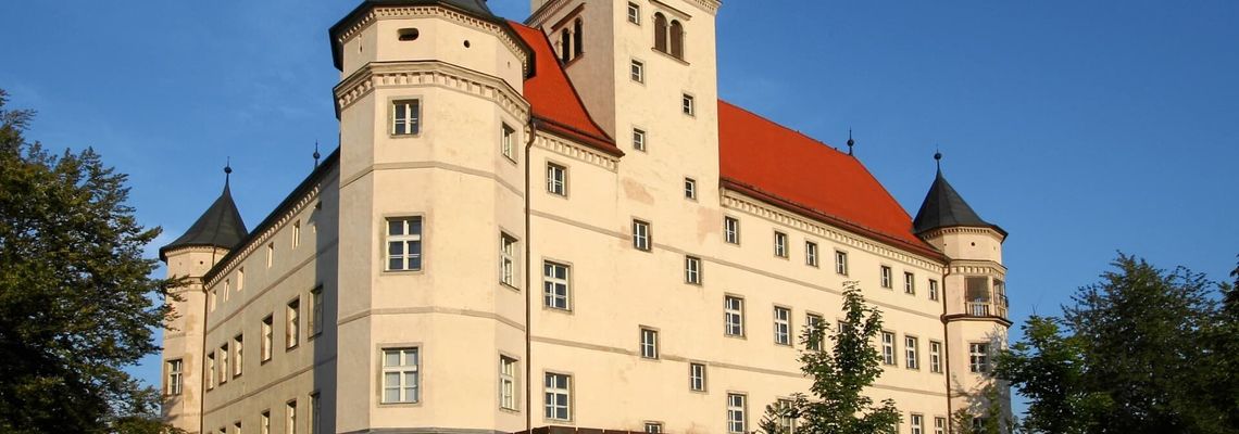 Cover Hartheim - Le château de l'horreur nazie