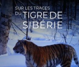image-https://media.senscritique.com/media/000020288008/0/dans_la_taiga_sur_les_traces_du_tigre_de_l_amour.jpg
