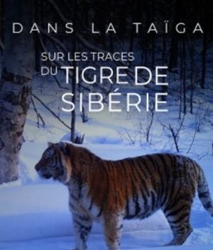 Dans la taïga - Sur les traces du tigre de l'amour