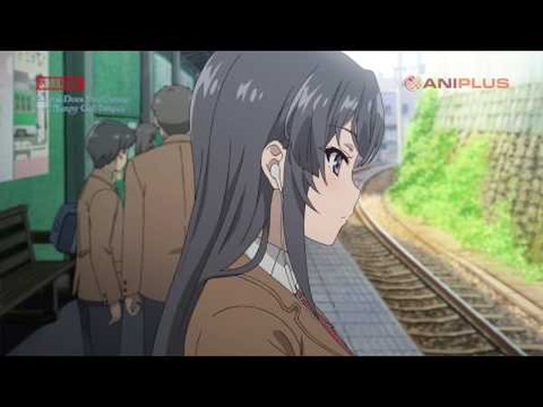 Rascal Does Not Dream of Bunny Girl Senpai