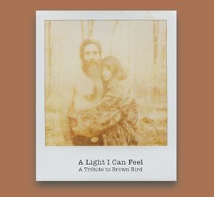 A Light I Can Feel: A Tribute to Brown Bird