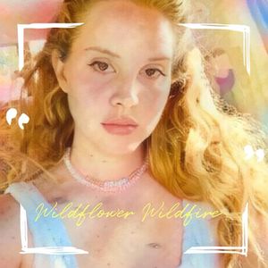 Wildflower Wildfire (Single)