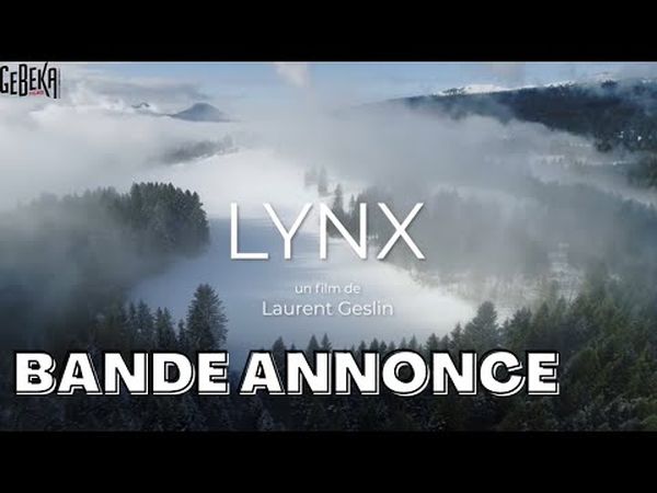 Lynx