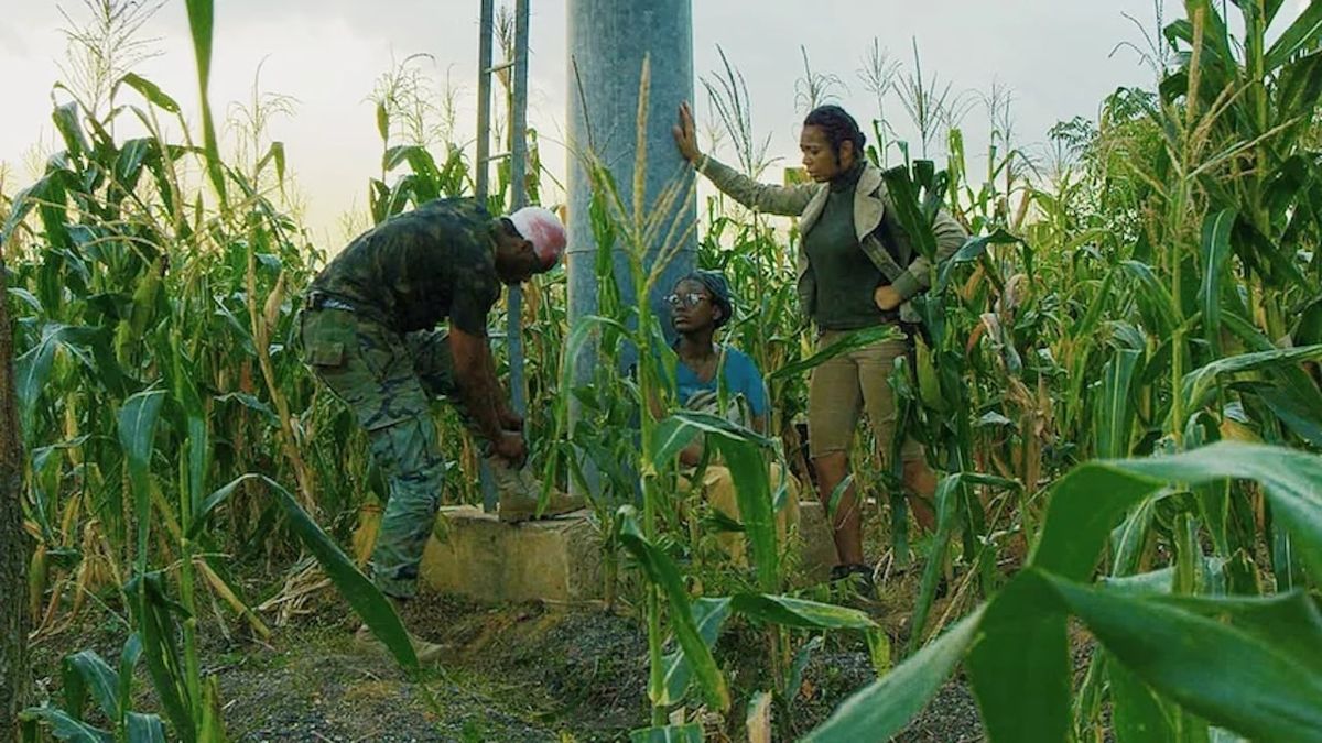 The Island Film (2018) SensCritique