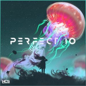 Perfect 10 (Unknown Brain & RudeLies VIP) (Single)