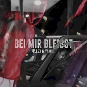 Bei mir bleibst (Single)