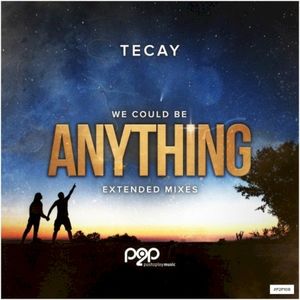 Anything (Extended Mix)