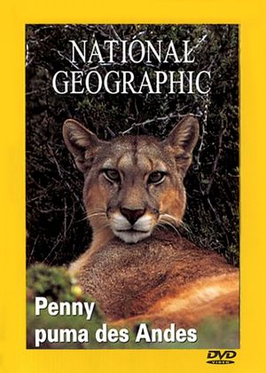 Penny, le puma des Andes