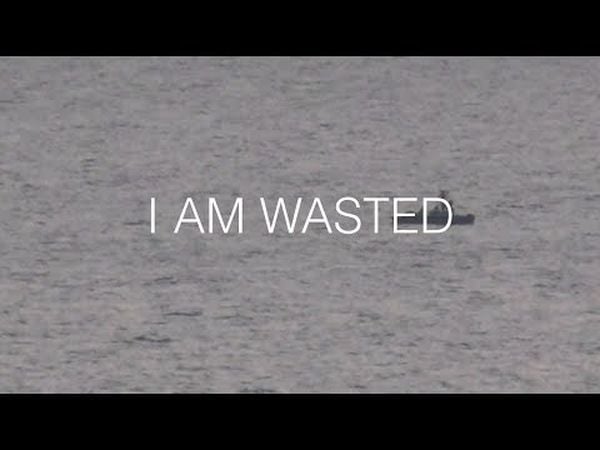 I Am Wasted