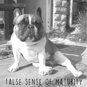 False Sense of Maturity (EP)