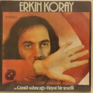 Gönül Salıncağı / Hayat Bir Teselli (Single)