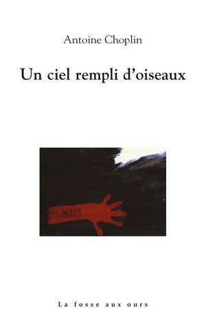 Un ciel rempli d'oiseaux