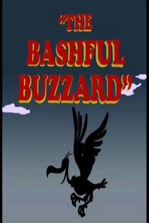 Bashful Buzzard