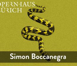 image-https://media.senscritique.com/media/000020315911/0/simon_boccanegra_opera_de_zurich.jpg