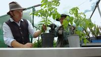 Episode 33 Netting Laws, Native Bees & Tomato Tips