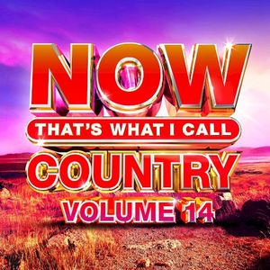 Now That's What I Call Country, Volume 14
