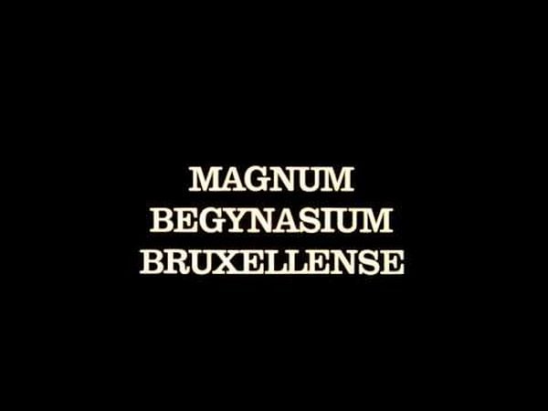 Magnum begynasium bruxellense