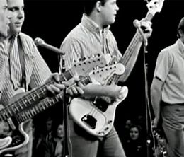 image-https://media.senscritique.com/media/000020322558/0/the_beach_boys_the_lost_concert_1964.jpg