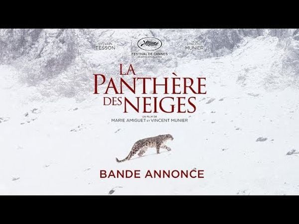 La Panthère des neiges