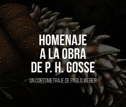 image-https://media.senscritique.com/media/000020328659/0/homenaje_a_la_obra_de_philip_henry_gosse.jpg