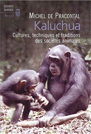 Kaluchua
