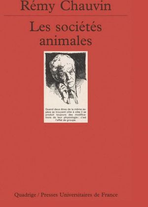 Les Sociétés animales