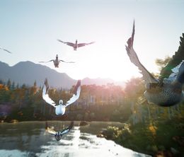 image-https://media.senscritique.com/media/000020332031/0/hunting_simulator_2.jpg