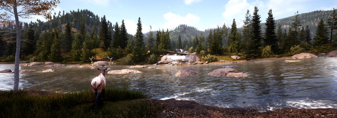 Cover Hunting Simulator 2