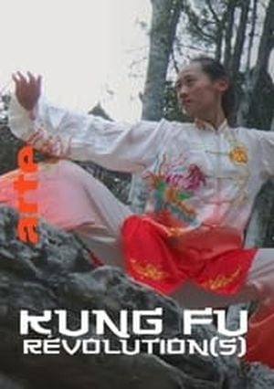 Kung fu Révolution(s)
