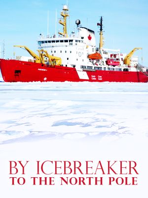 Icebreaker