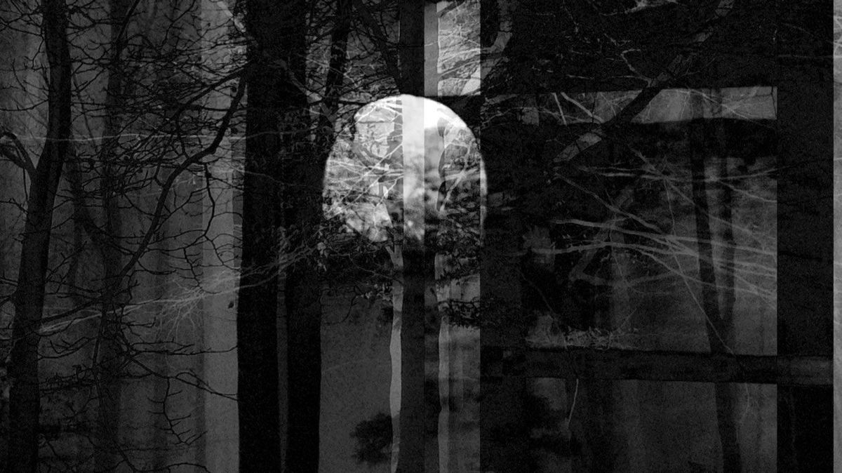 Phantom Ride Phantom Courtmétrage SensCritique