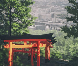 image-https://media.senscritique.com/media/000020340142/0/Explore_Fushimi_Inari.png