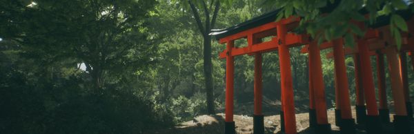 Explore Fushimi Inari