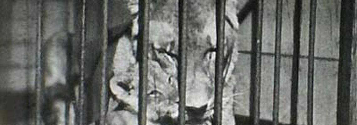 Cover Une belle garce