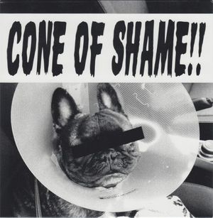 Cone of Shame (Single)